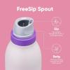Owala FreeSip Twist Insulated Stainless Steel Water Bottle with Straw for Sports and Travel, BPA-Free, 24-oz, In Bloom(Dreamy Field)