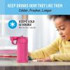 THERMOS FUNTAINER 12 Ounce Stainless Steel Vacuum Insulated Kids Straw Bottle, Blue(Pink Glitter)