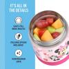 THERMOS FUNTAINER Insulated Food Jar, 10 Ounce, Kid Friendly Food Jar with Foldable Spoon, Pink(Preschool Minnie)