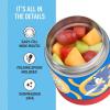 THERMOS FUNTAINER Insulated Food Jar, 10 Ounce, Kid Friendly Food Jar with Foldable Spoon, Pink(Sonic the Hedgehog)
