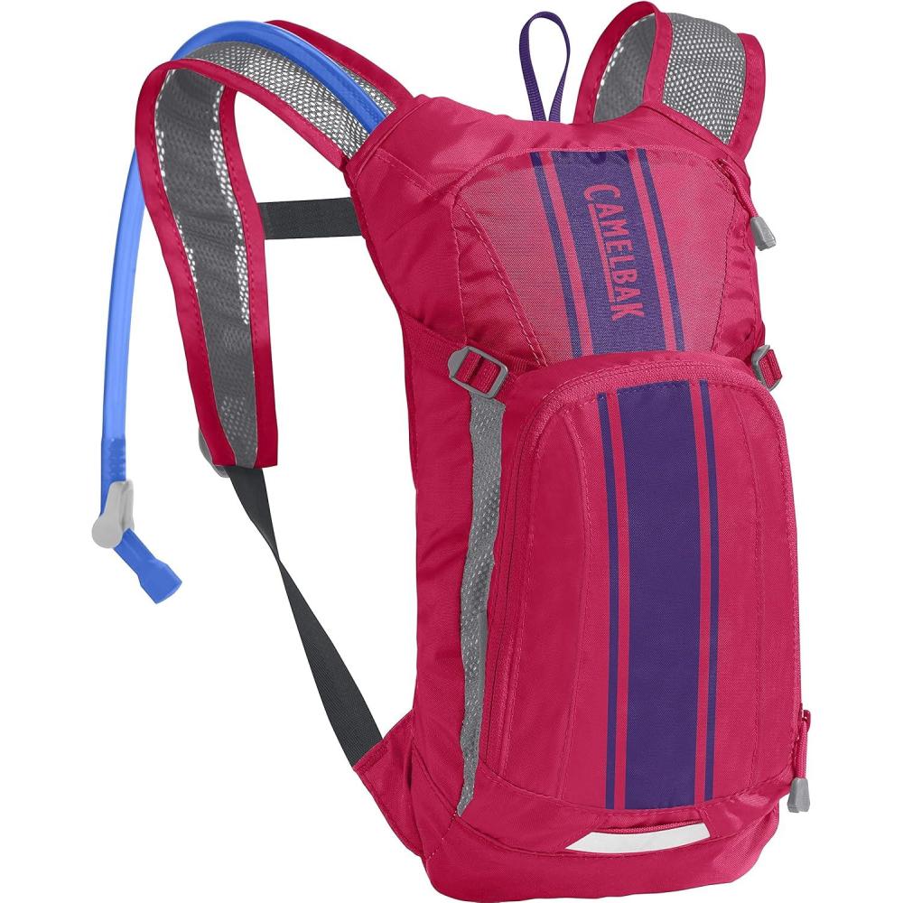 imageCamelBak Mini MULE Kids 50oz Hydration Reservoir Hike and Bike BackpackHot PinkPurple Stripe