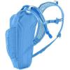 CamelBak Mini M.U.L.E. Kids 50oz Hydration Reservoir Hike and Bike Backpack(Blue/Palm)