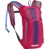 Hot Pink/Purple Stripe