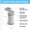 Thermos Baby 10 oz. Stainless Steel Bottle with pop-up straw, Cars(Gray)