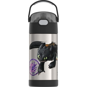 THERMOS FUNTAINER Water Bottle with Straw – 12 Ounce – Kids Stainless Steel Vacuum Insulated Water Bottle with Lid, Hot Wheels(How To Train Your Dragon)
