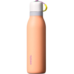 Owala FreeSip Twist Insulated Stainless Steel Water Bottle with Straw for Sports and Travel, BPA-Free, 18-oz, Grey/Peach (Peachy Keen)
