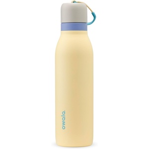 Owala FreeSip Twist Insulated Stainless Steel Water Bottle with Straw for Sports and Travel, BPA-Free, 18-oz, Grey/Yellow (Sunny Daze)