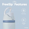 Owala Star Wars FreeSip Insulated Stainless Steel Water Bottle with Straw for Sports, Travel, and School BPA-Free Sports Water Bottle, 32 oz, GroGu(Cinderella)